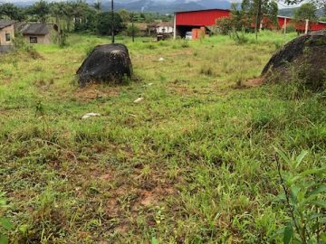 Terreno - Venda - Papagaios - Canelinha - SC