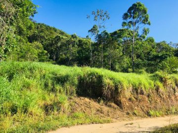 Terreno - Venda - Moura - Canelinha - SC