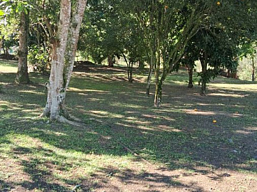 Terreno - Venda - Timbé - Tijucas - SC