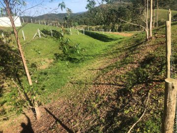 Terreno - Venda - Moura - Canelinha - SC