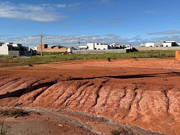 Terreno - Venda - Arei�o - Canelinha - SC