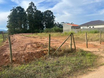 Terreno - Venda - Papagaios - Canelinha - SC