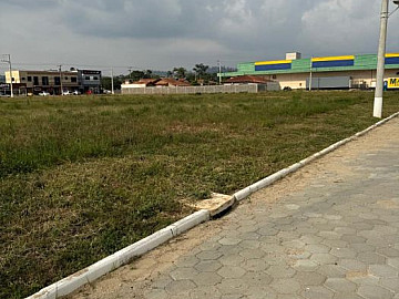 Terreno - Venda - Centro - Canelinha - SC