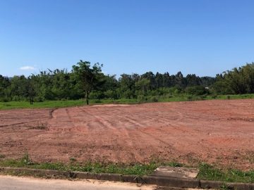 Terreno - Venda - Papagaios - Canelinha - SC