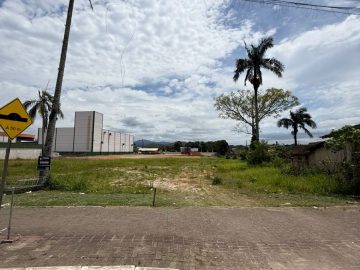 Terreno - Venda - Centro - Canelinha - SC