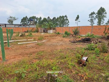 Terreno - Venda - Joaia - Tijucas - SC