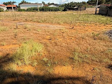 Lote - Venda - Papagaios - Canelinha - SC