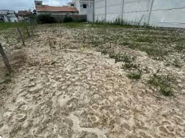 Terreno - Venda - Santa Luzia - Tijucas - SC