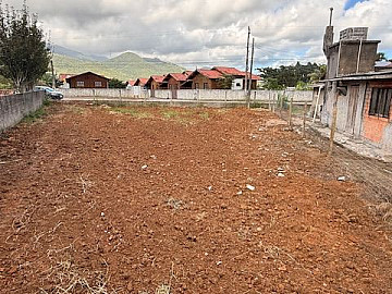 Lote - Venda - Papagaios - Canelinha - SC