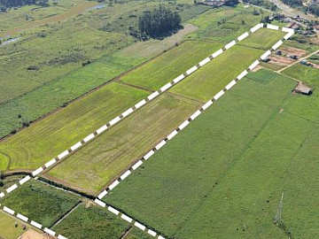 Terreno - Venda - Papagaios - Canelinha - SC